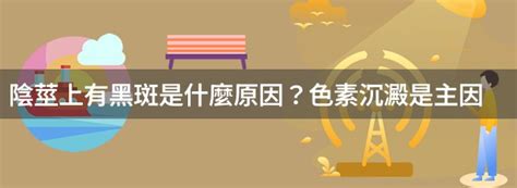 黑陰莖|陰莖上有黑斑是何原因？要緊嗎？